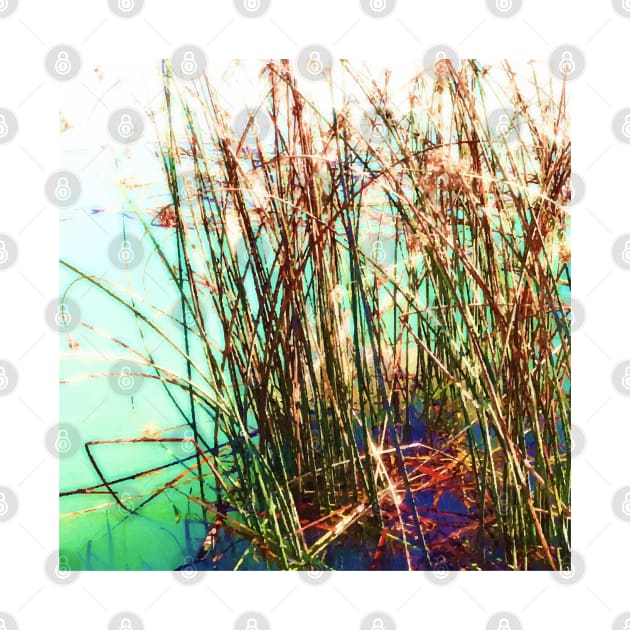 Aquatic vegetation, aquatic plant, aquatic plants, leaves, leaf, nature, botanical, tropical, exotic, water, summer, reflection, sun, sunny-day, spring, holiday, xmas, red, green, by PrintedDreams