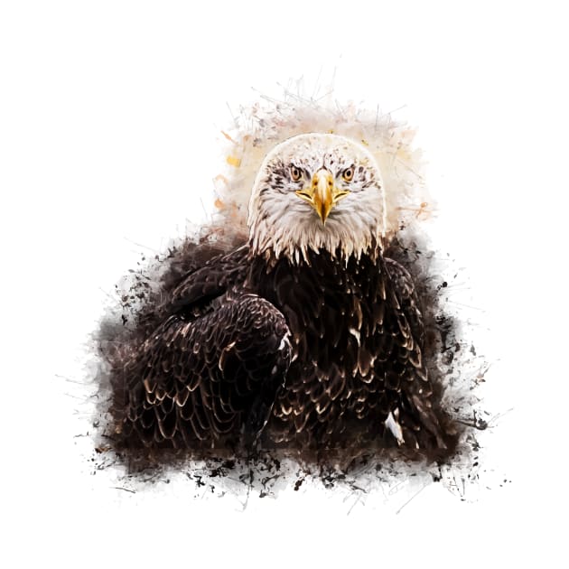 American Bald Eagle by ElviraDraat