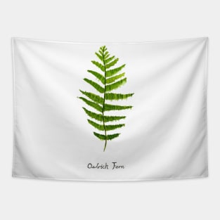 Ostrich fern watercolor Tapestry