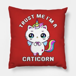 Kawaii Caticorn Unicorn Cat Kittycorn Pillow