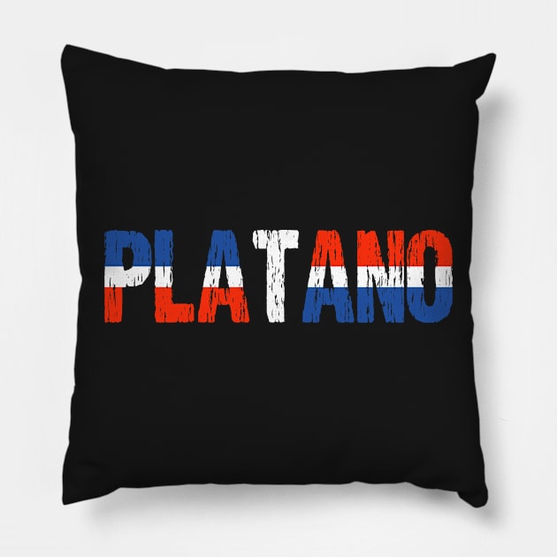 Platano Power Dominican Republic Flag Pillow by Nirvanibex