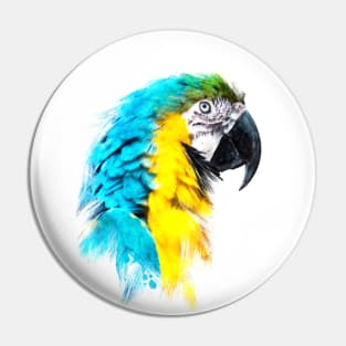 Dramabite Watercolor blue yellow macaw ara parrot artsy artistic painting Pin