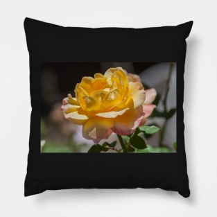 Yellow Rose Pillow