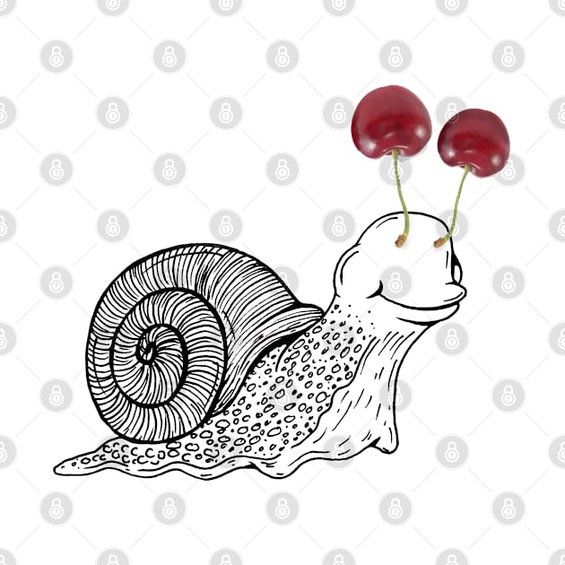 Cherry Snail by metlitskiy