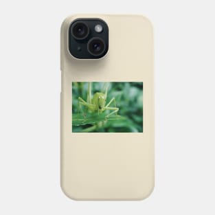 Curious Cricket Phone Case