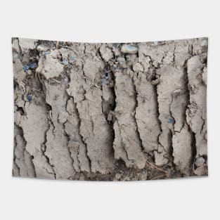 Arid mud flats Tapestry