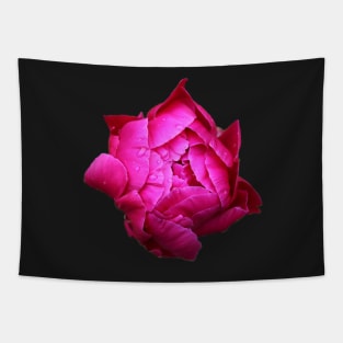 Peony Tapestry