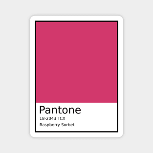 Raspberry Sorbet - Pantone 18-2043 TCX Magnet