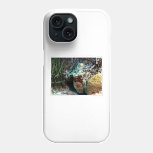 Caribbean Reef Octopus in Coral Reef home Phone Case