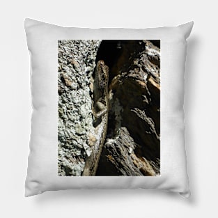 Grand Skink Pillow