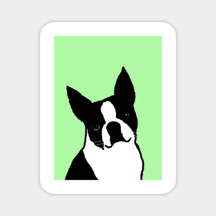 Boston terrier Magnet