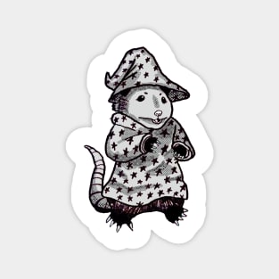 Wizard Possum Sticker Magnet