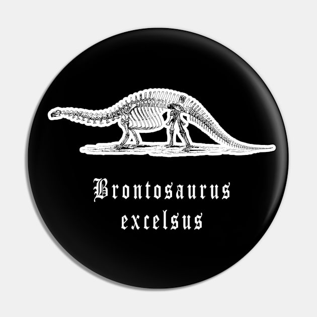 🦖 Fossil Skeleton of a Brontosaurus excelsus Dinosaur Pin by Pixoplanet