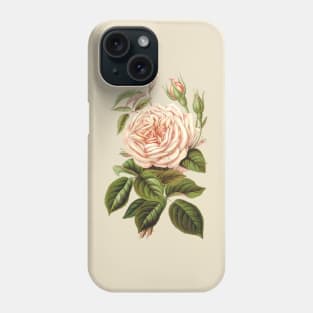 Tea Rose Flower Botanical Illustration Phone Case