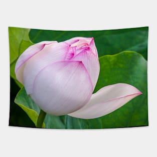 Lotus Flower Tapestry