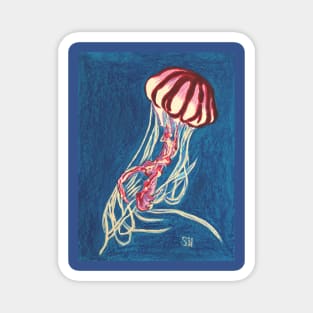 Dylans Jellyfish Magnet