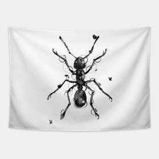 ant b/w Tapestry