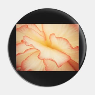 Begonia Blush Pin