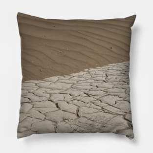 Mud Cracks and Sand Ripples! Pillow