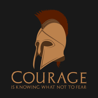 Courage is knowing what not to fear. - Ancient Sparta T-Shirt