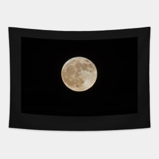 The Silvery Moon Tapestry