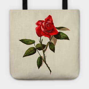 Single Stem Red Rose Isolated Vector Art Tote