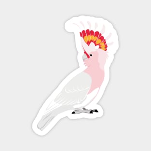 Major Mitchell's cockatoo Magnet