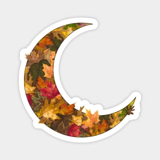 Autumn Leaves Moon Magnet