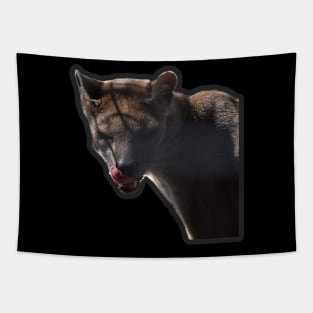 Fossa Tapestry