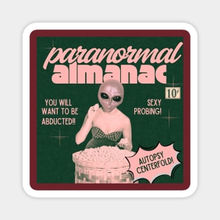 cheesecake roswell Magnet