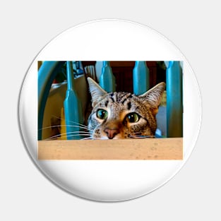 Cat Peeking Over Kitchen Table Pin