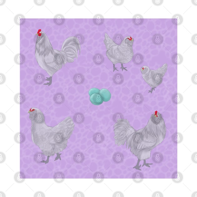 Lavender Ameraucana Pattern Purple by TrapperWeasel