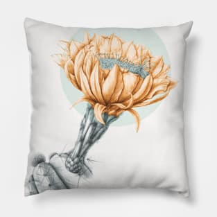 Cactus flower Pillow