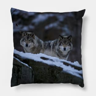 Timber Wolves Pillow