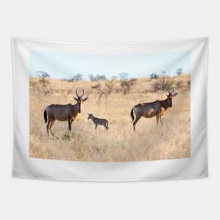 Hartebeest Family - Kruger National Park Tapestry