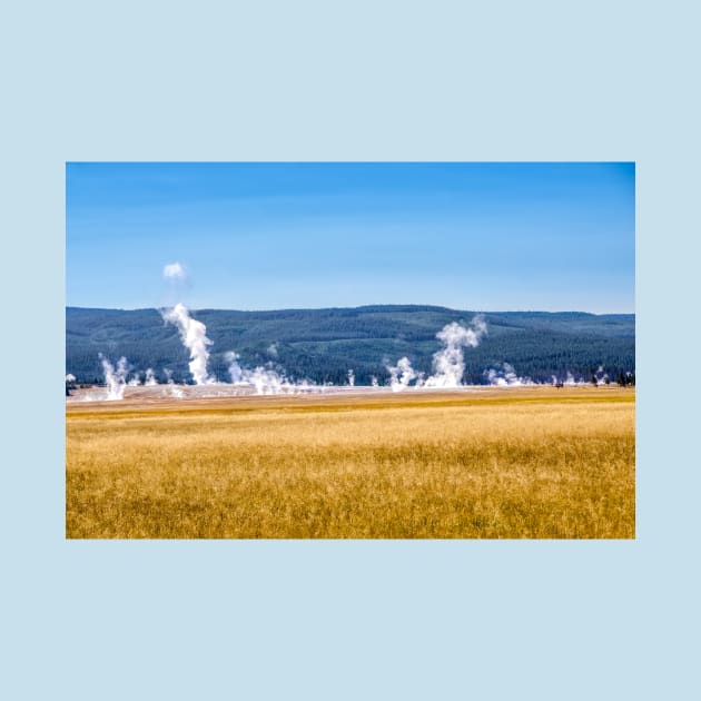 Geyser Basin Yellowstone National Park by Debra Martz