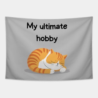 Sleeping Affirmation Cat - My ultimate hobby | Cat Lover Gift | Law of Attraction | Positive Affirmation | Self Love Tapestry