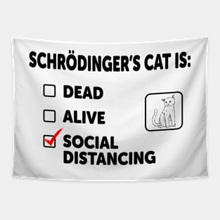 Schrodinger's Social Distancing Tapestry