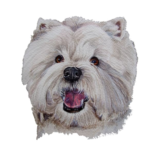 West highland white terrier by doggyshop