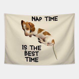 Nap Time Doggo Tapestry