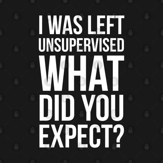 I Was Left Unsupervised What Did You Expect? by evokearo