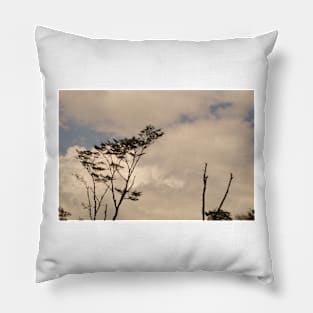 ebs tree in clouds Pillow