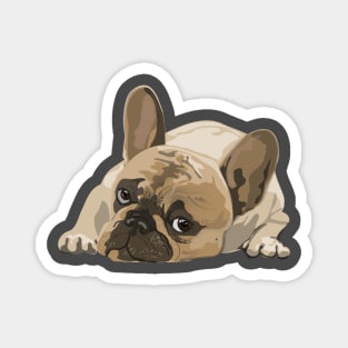 Sad bulldog Magnet