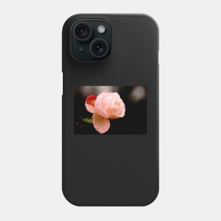 Water Droplets on a Pink Rose Phone Case