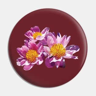 Peonies - Pale Pink Peonies Pin