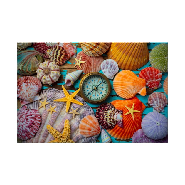 Compass And Seashells With Starfish by photogarry