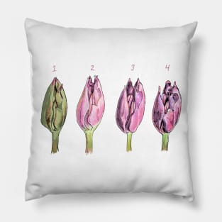 Tulip Study Pillow