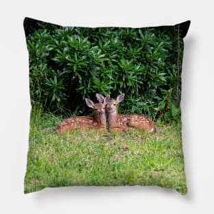 Twin Fawns Pillow