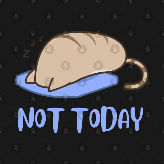 Lazy Cat Nope not Today funny sarcastic messages sayings and quotes by BoogieCreates