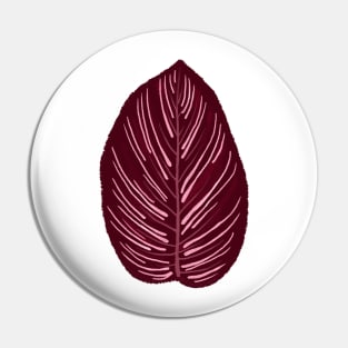 Calathea Ornata Leaf Pin